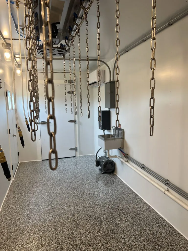evisceration line with stainless steel shackles