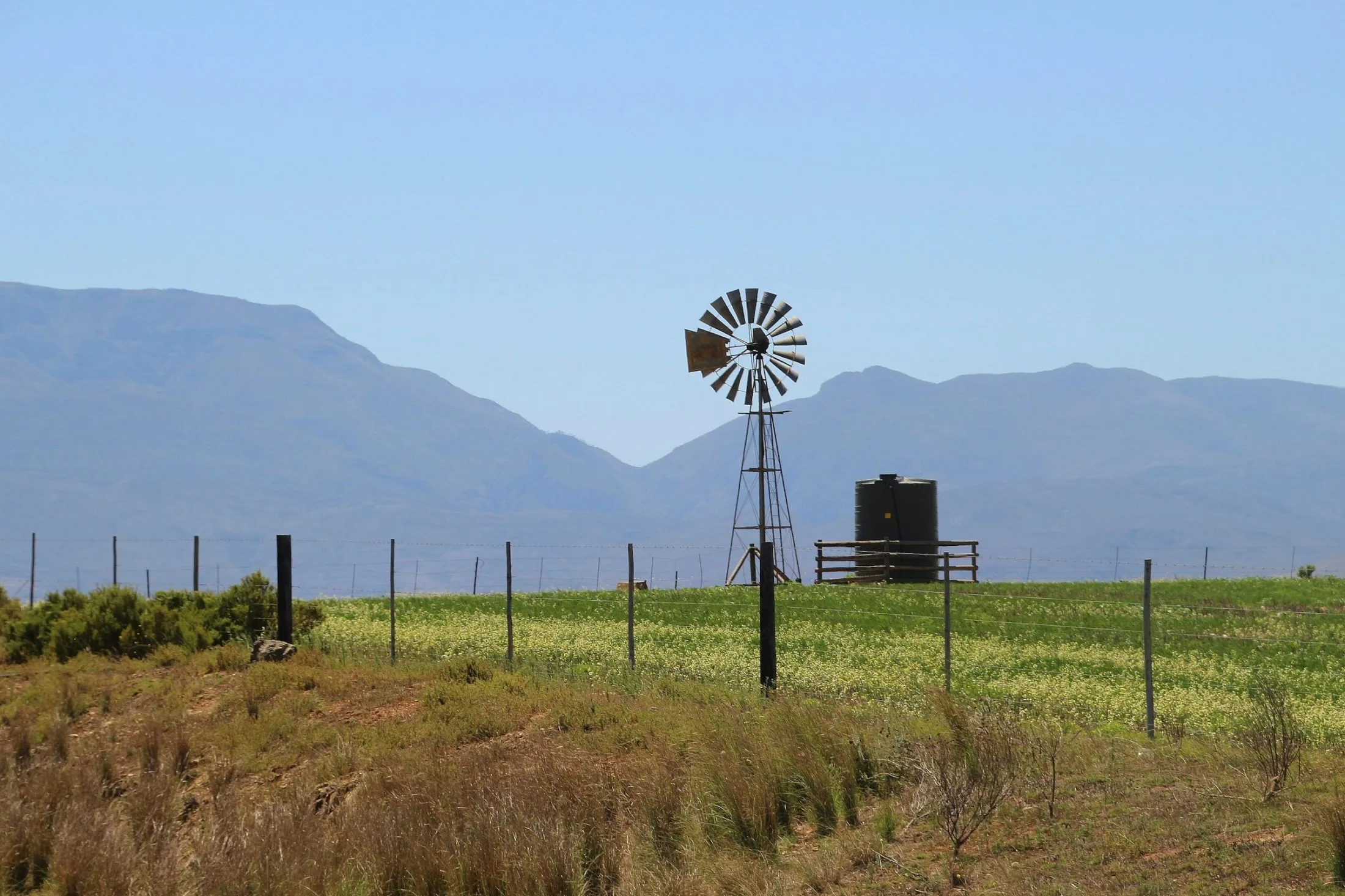 farm landscape