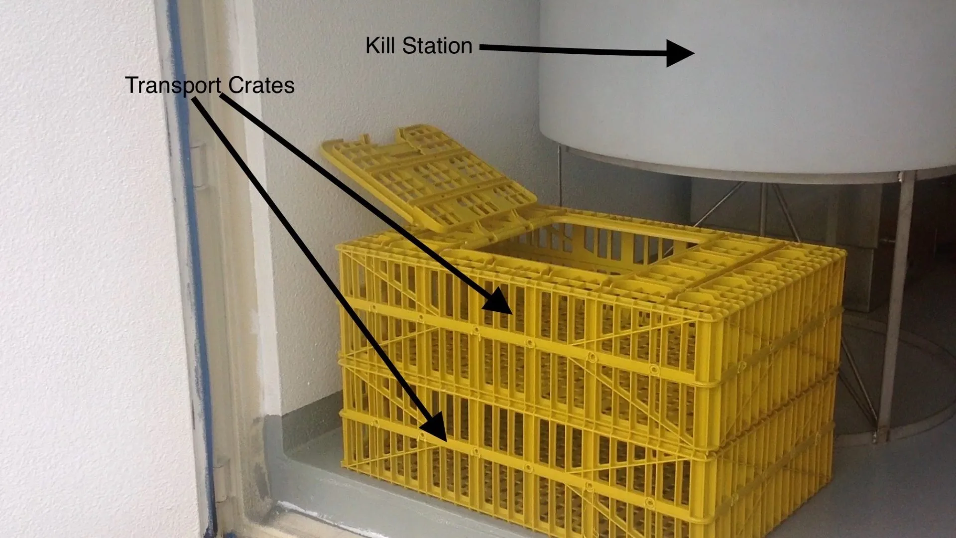 transport crate and kill station
